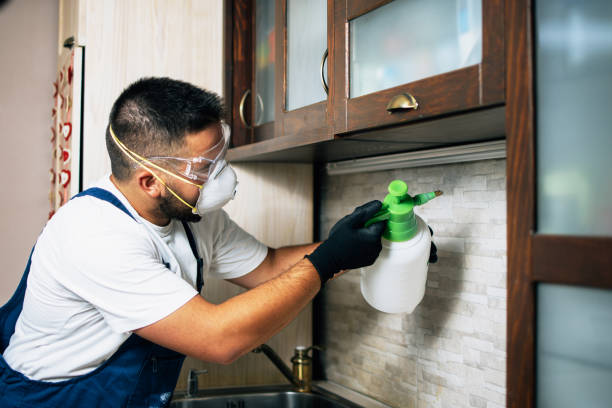 Best Pest Inspection Near Me  in Eddington, PA