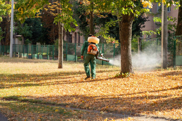 Pest Control for Restaurants in Eddington, PA