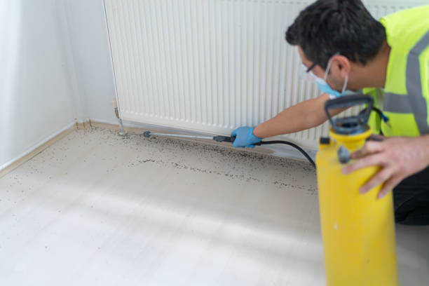 Best Affordable Pest Control Services  in Eddington, PA