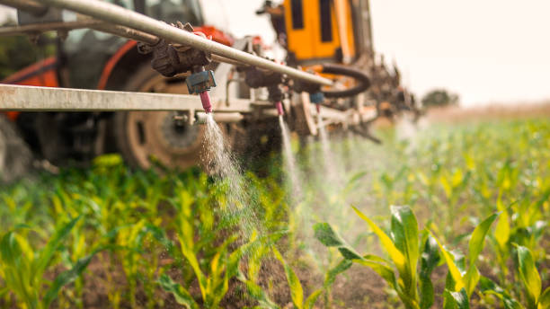 Best Best Pest Control Companies  in Eddington, PA